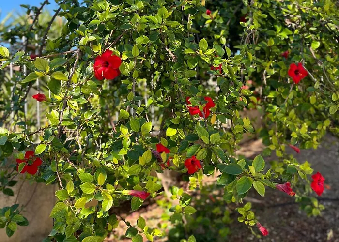 Casa Yucca * 취아카