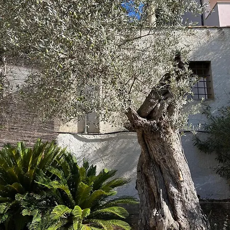 Casa Yucca Appartement *