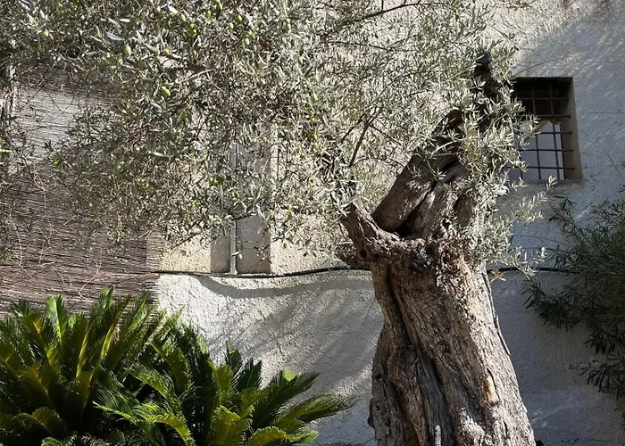 Casa Yucca Appartement *